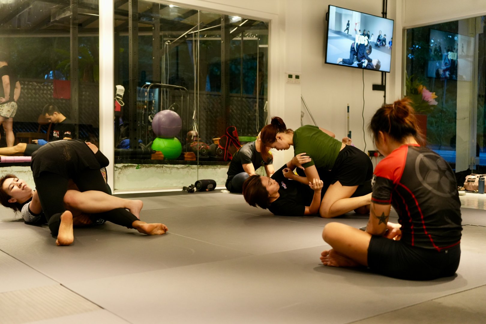 Nogi Grappling